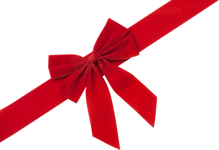 Red Christmas Bow